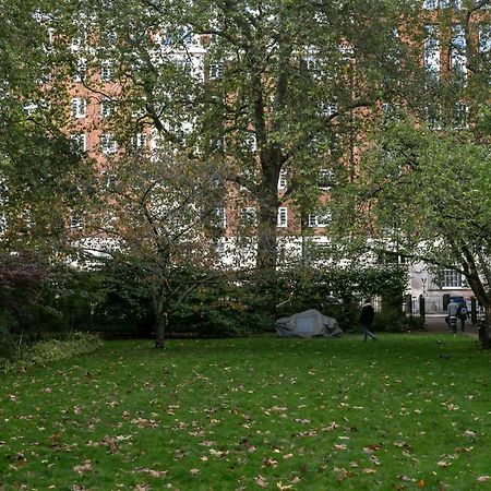 Beautifully Presented Centrally Located Studio Apartment London Ngoại thất bức ảnh